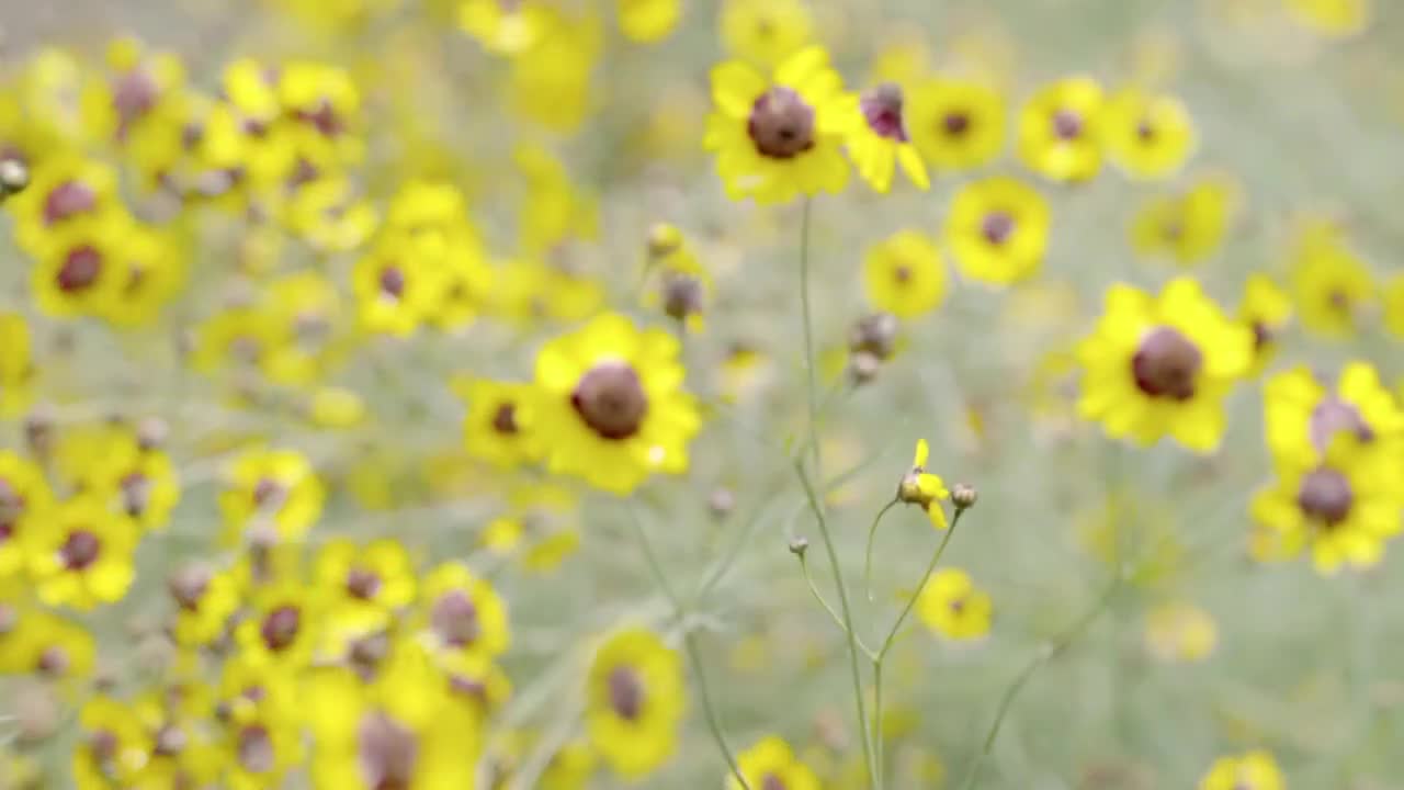 【大学图鉴】北京高校合集