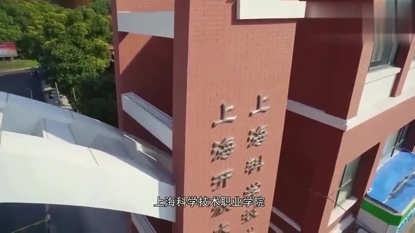 【大学图鉴】上海高校合集